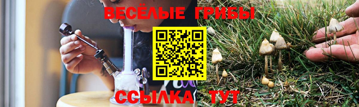 Галлюциногенные грибы мухоморы Выкса