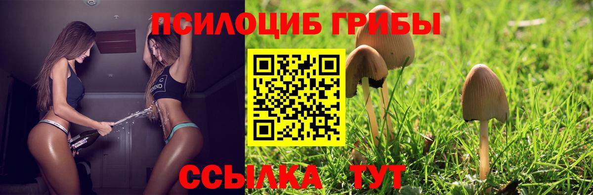 Псилоцибиновые грибы Magic Shrooms  Галлюциногенные грибы мухоморы  Вход с VPN  Выкса 